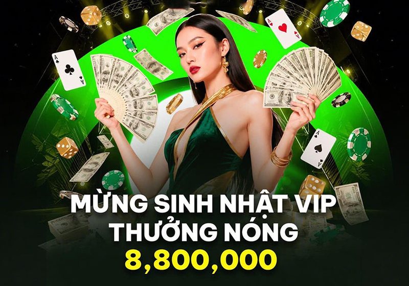 Theo dõi biến động tỷ lệ dành cho người mới